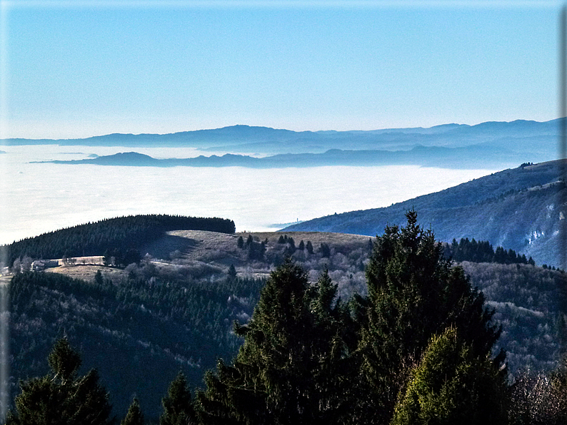 foto Pedemontana Veneta nella nebbia